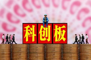 科創板交易規則解讀 無T+0、50萬門檻與信息咨詢