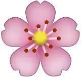 深化行業認知，共謀發展新篇——中煤蒙大公司特邀孫惠民授課經濟信息咨詢